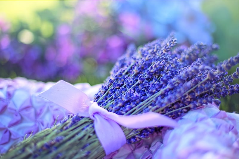 Aromatherapy Guide
